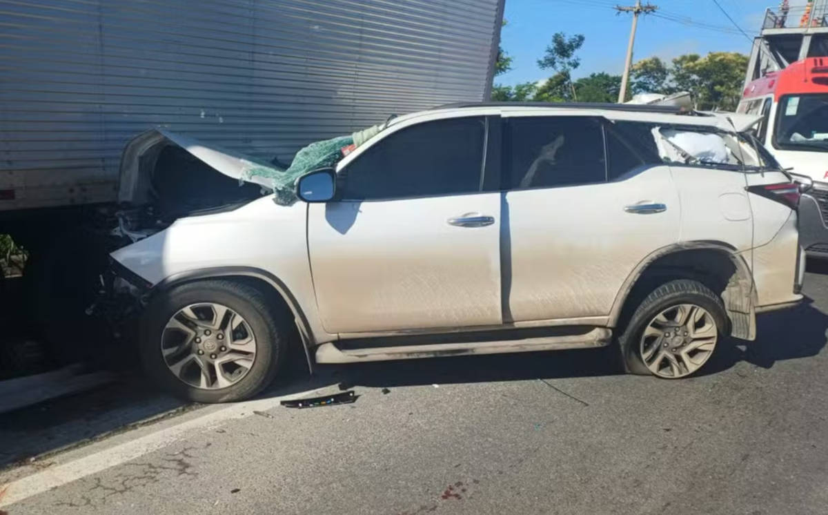 Zau, O Pássaro morreu no local do acidente 