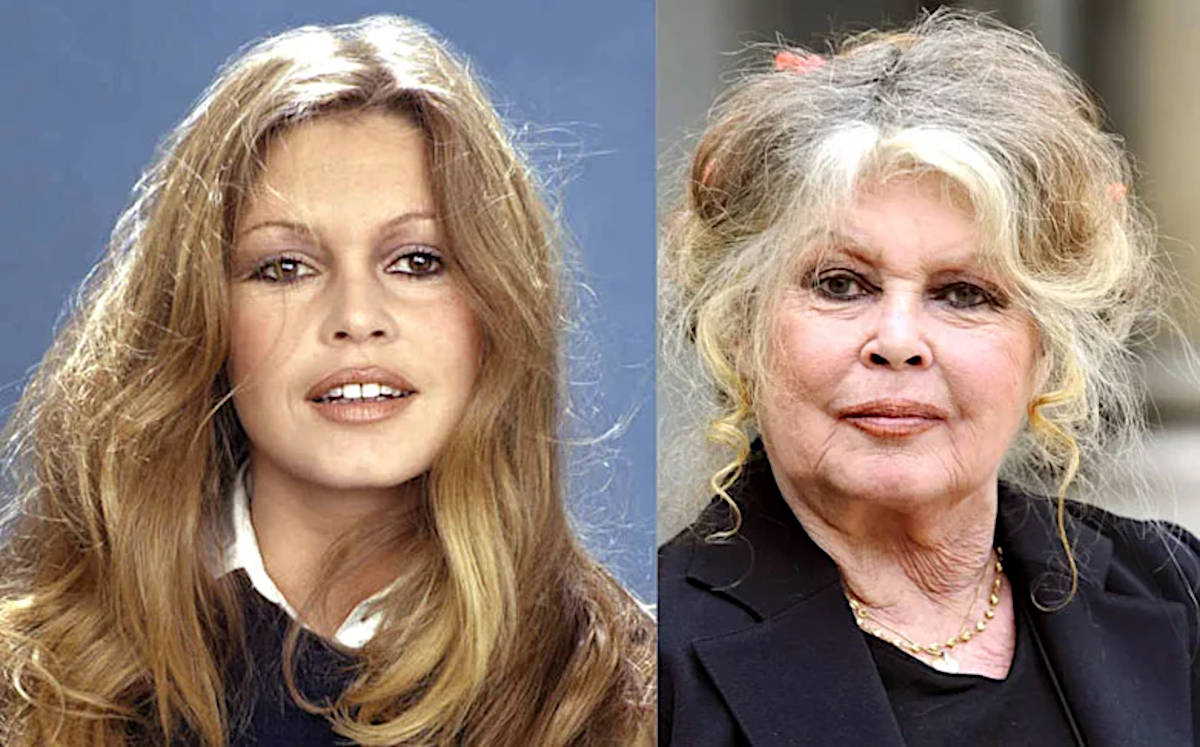 Brigitte Bardot atuou em mais de 50 filmes ao longo de sua carreira