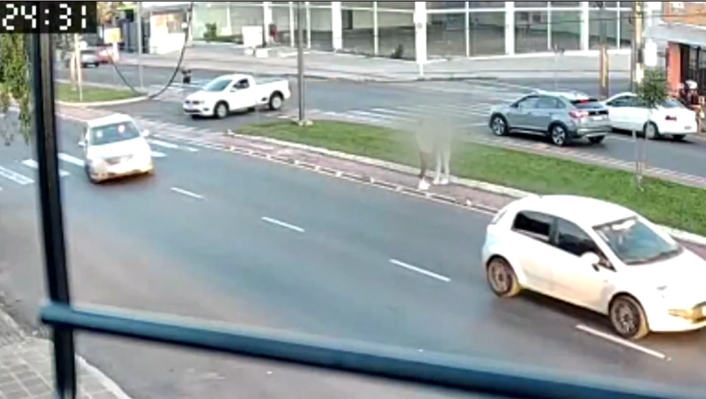Amigas disseram que estavam atravessando a ciclovia; imagem de câmera de segurança mostra o contrário