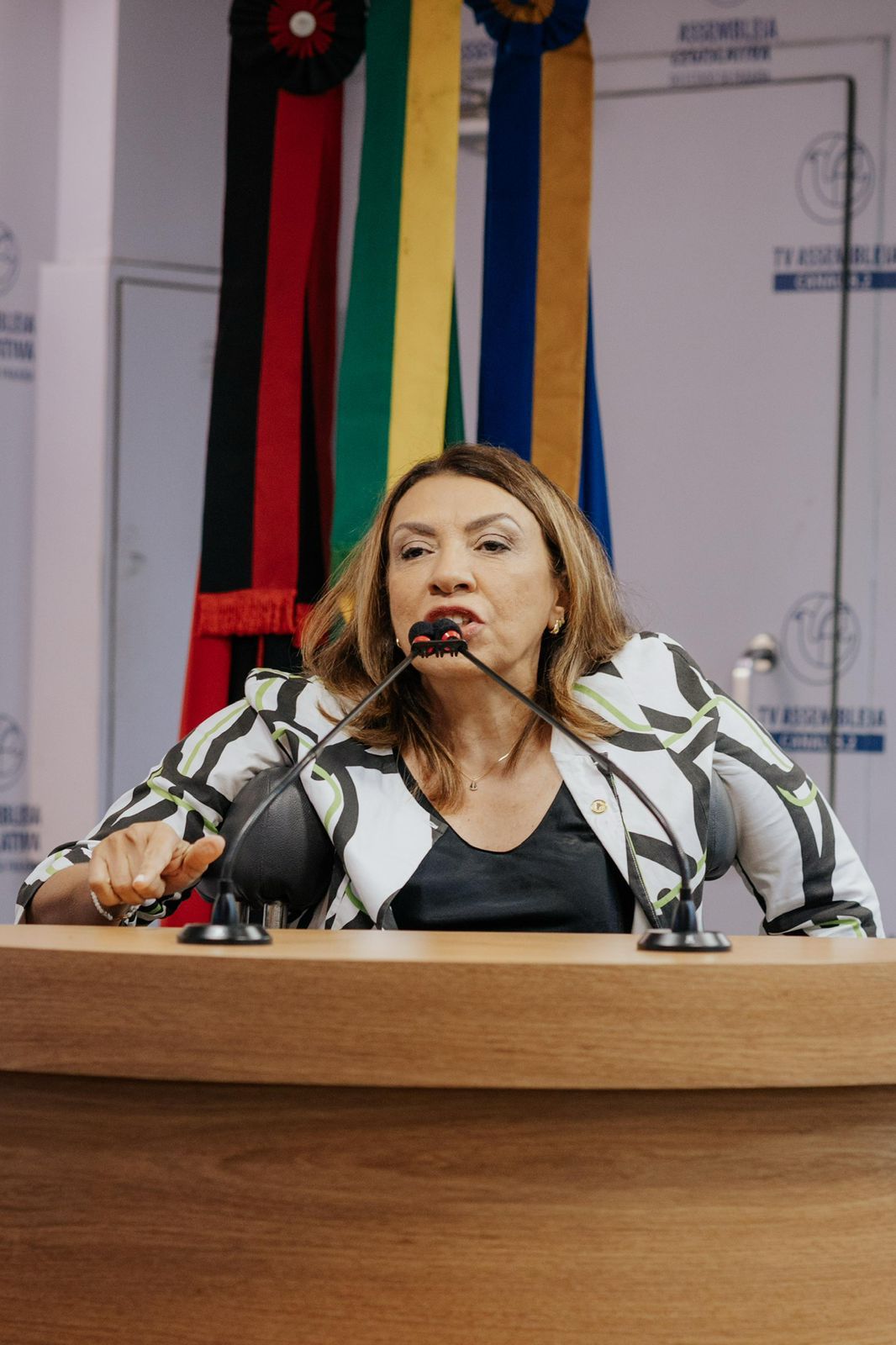 Cida Ramos disse que, apesar de as mulheres constituírem a maioria da população e do eleitorado, ocupam uma parcela mínima das cadeiras no parlamento