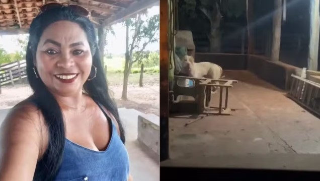 Maria José estava com ferimentos graves e  já sem vida quando foi encontrada por seu companheiro