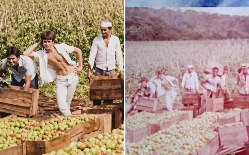 Leandro e Leonardo nasceram em Goianápolis, interior de Goiás, onde trabalharam antes de se tornarem conhecidos nacionalmente