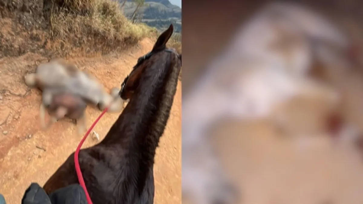 Crime gerou revolta após imagens circularem nas redes sociais